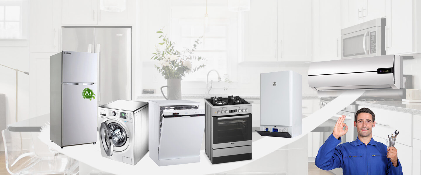 Bahçe Smeg Servisi